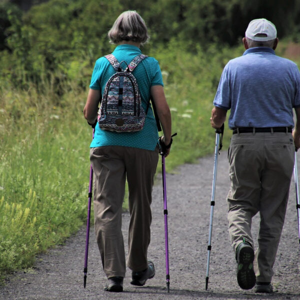 Gdzie na Nordic Walking w Wielkopolsce? Leśne trasy z dala od asfaltu