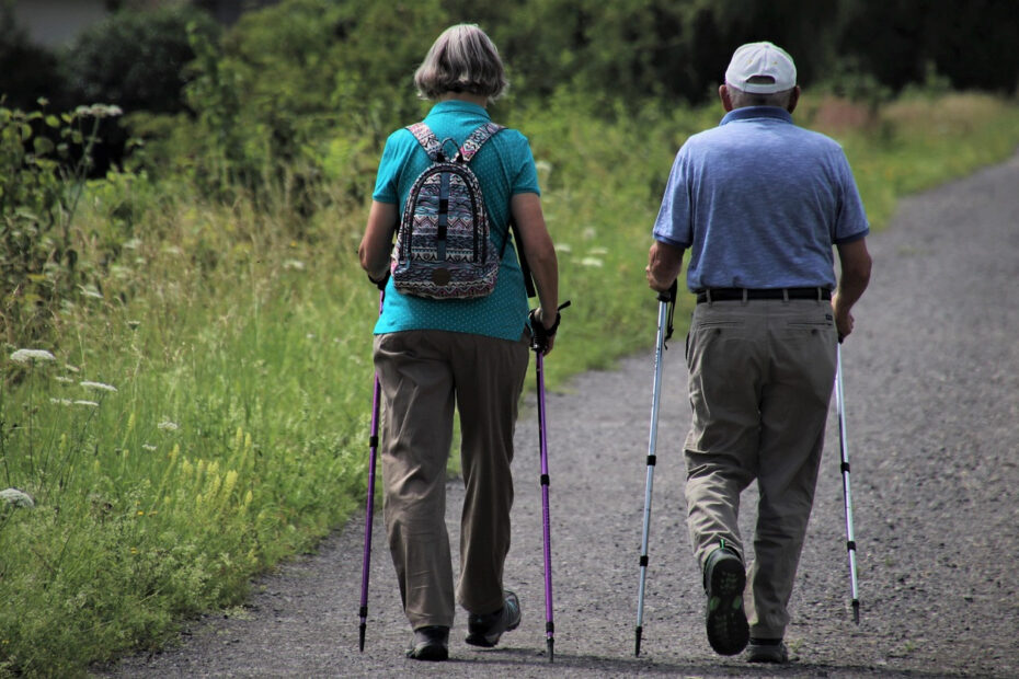 Gdzie na Nordic Walking w Wielkopolsce? Leśne trasy z dala od asfaltu