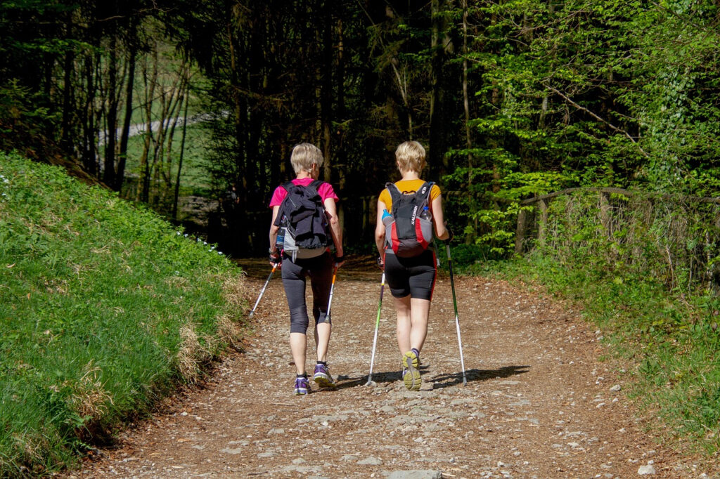 dwie kobiety na nordic walking w lesie