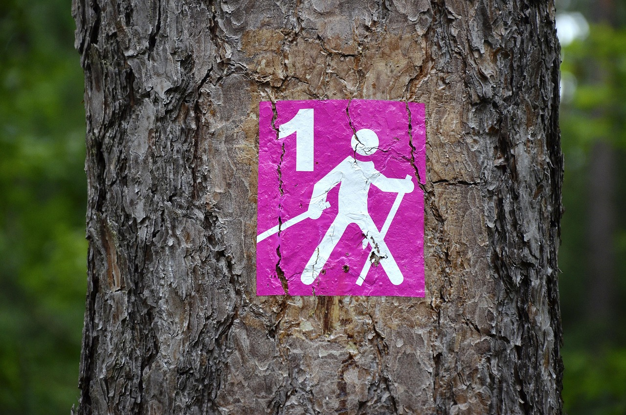 trasa nordic walking znaczek